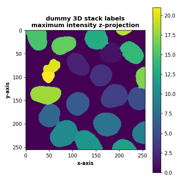 Average intensity z-projection of the corresponding labels