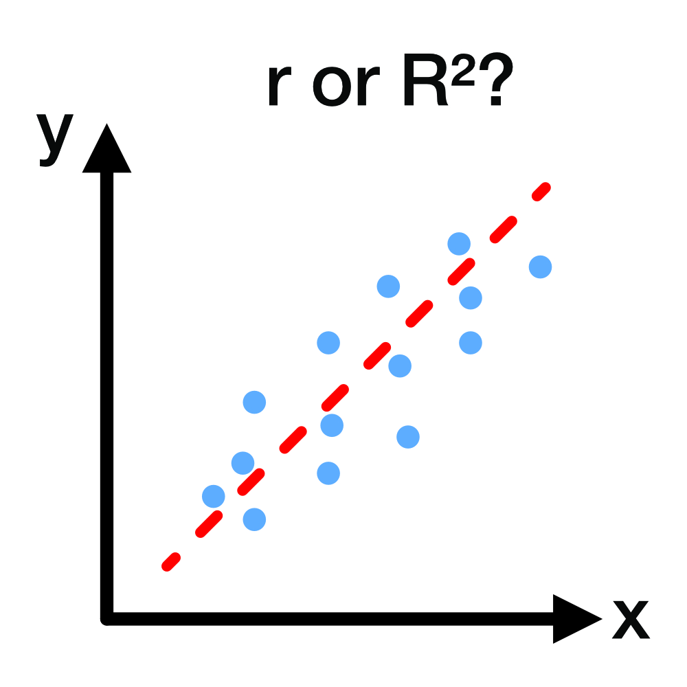 When to report r vs R²?