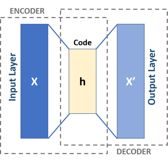 Using Autoencoders to reveal hidden structures in high-dimensional data