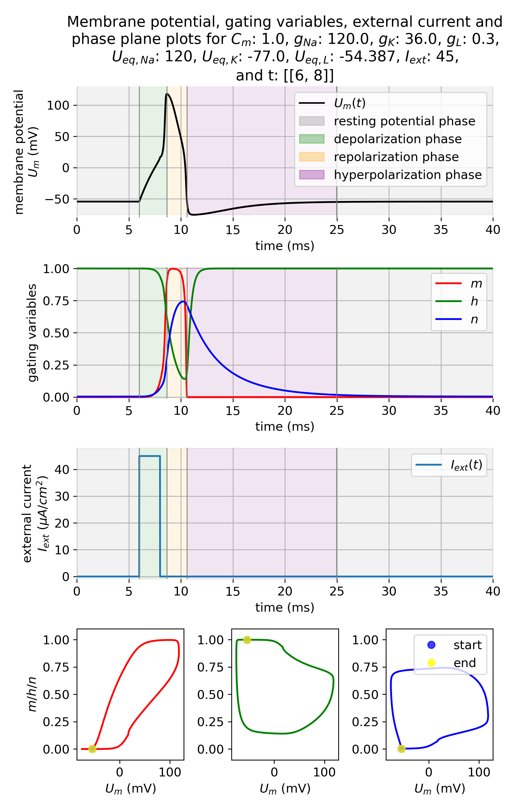 Membrane potential and gating variables during an action potential.