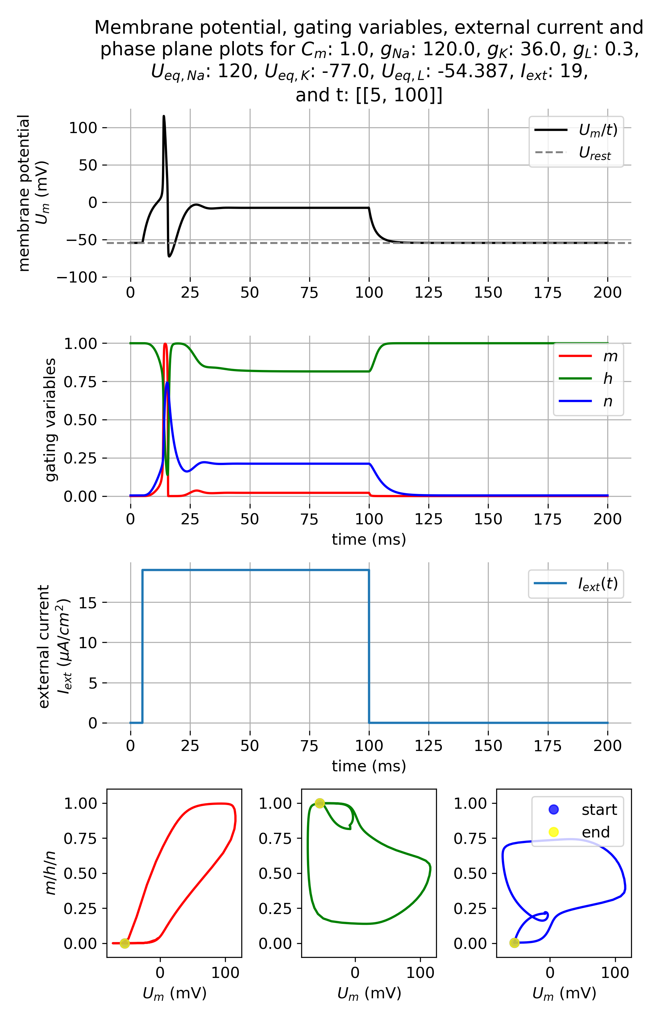Membrane potential and gating variables during an action potential.