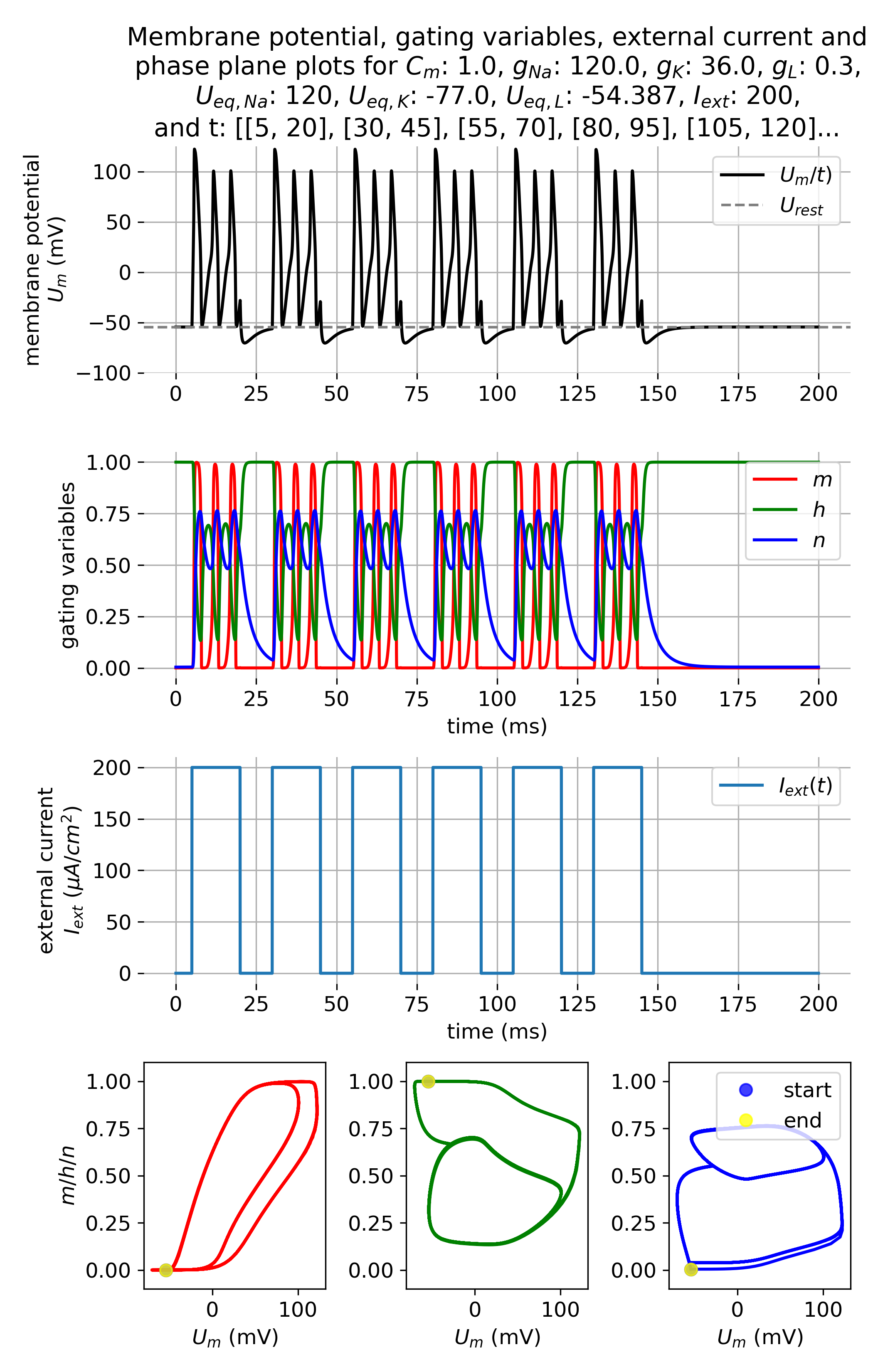Membrane potential and gating variables during an action potential.