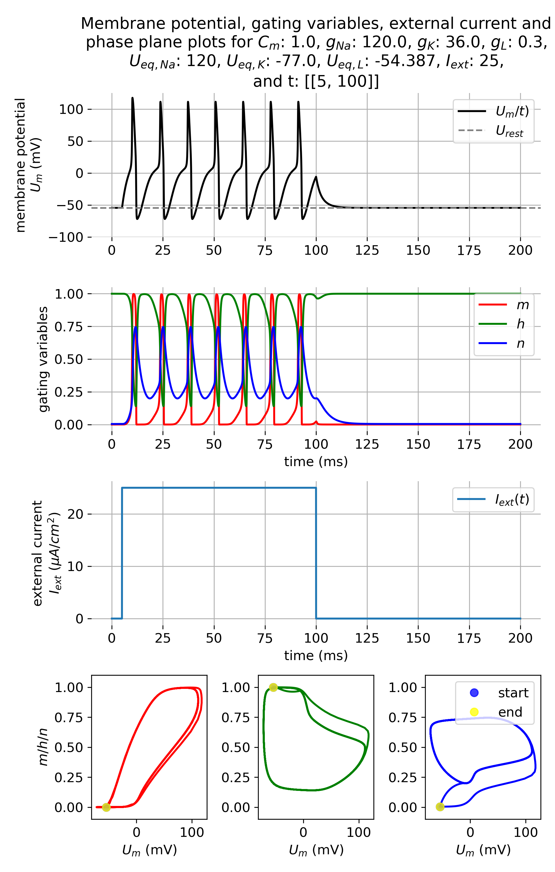 Membrane potential and gating variables during a series of action potentials.
