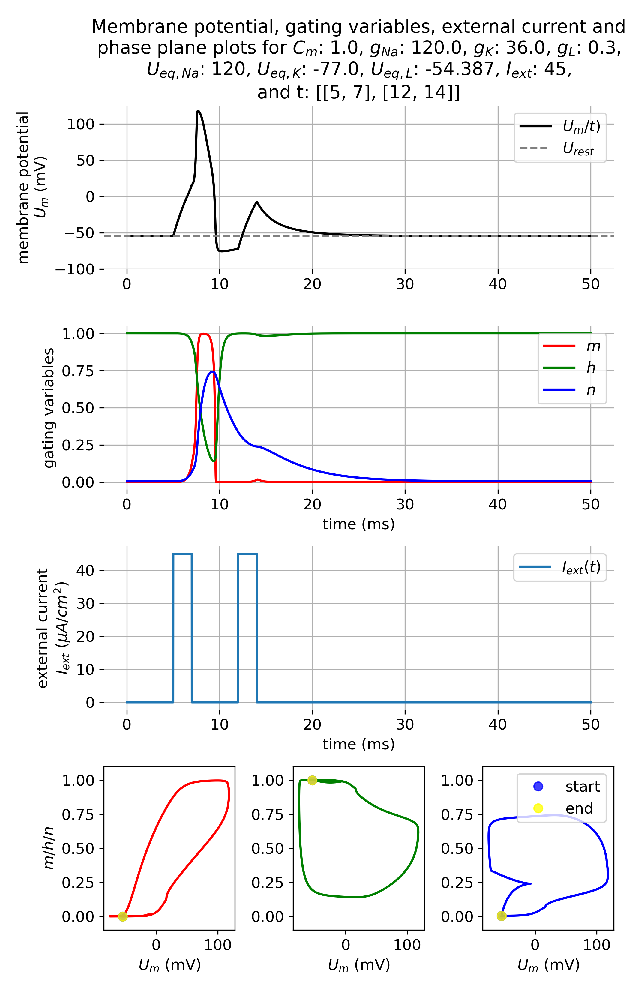 Membrane potential and gating variables during an action potential.