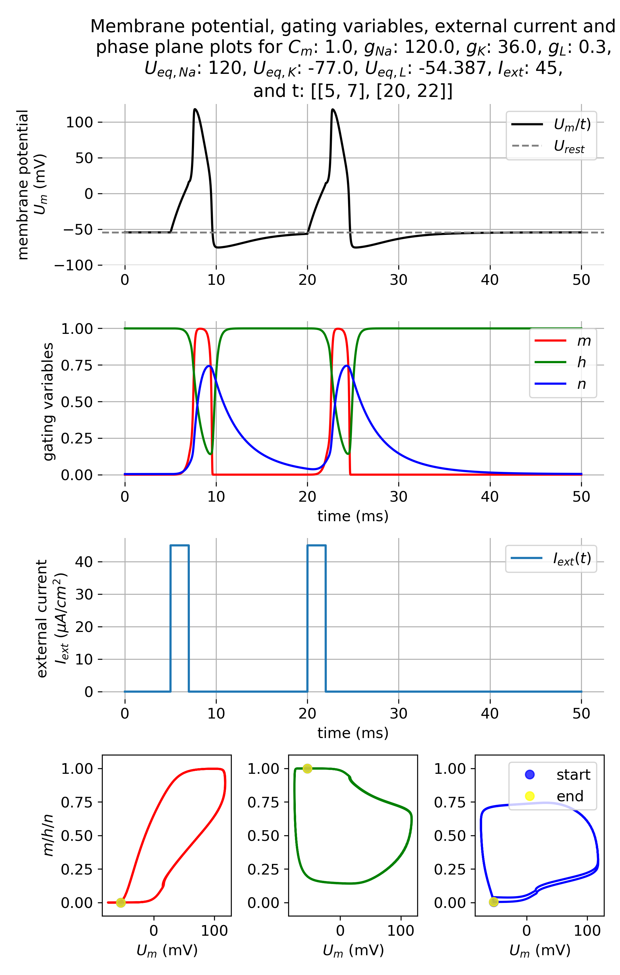 Membrane potential and gating variables during an action potential.