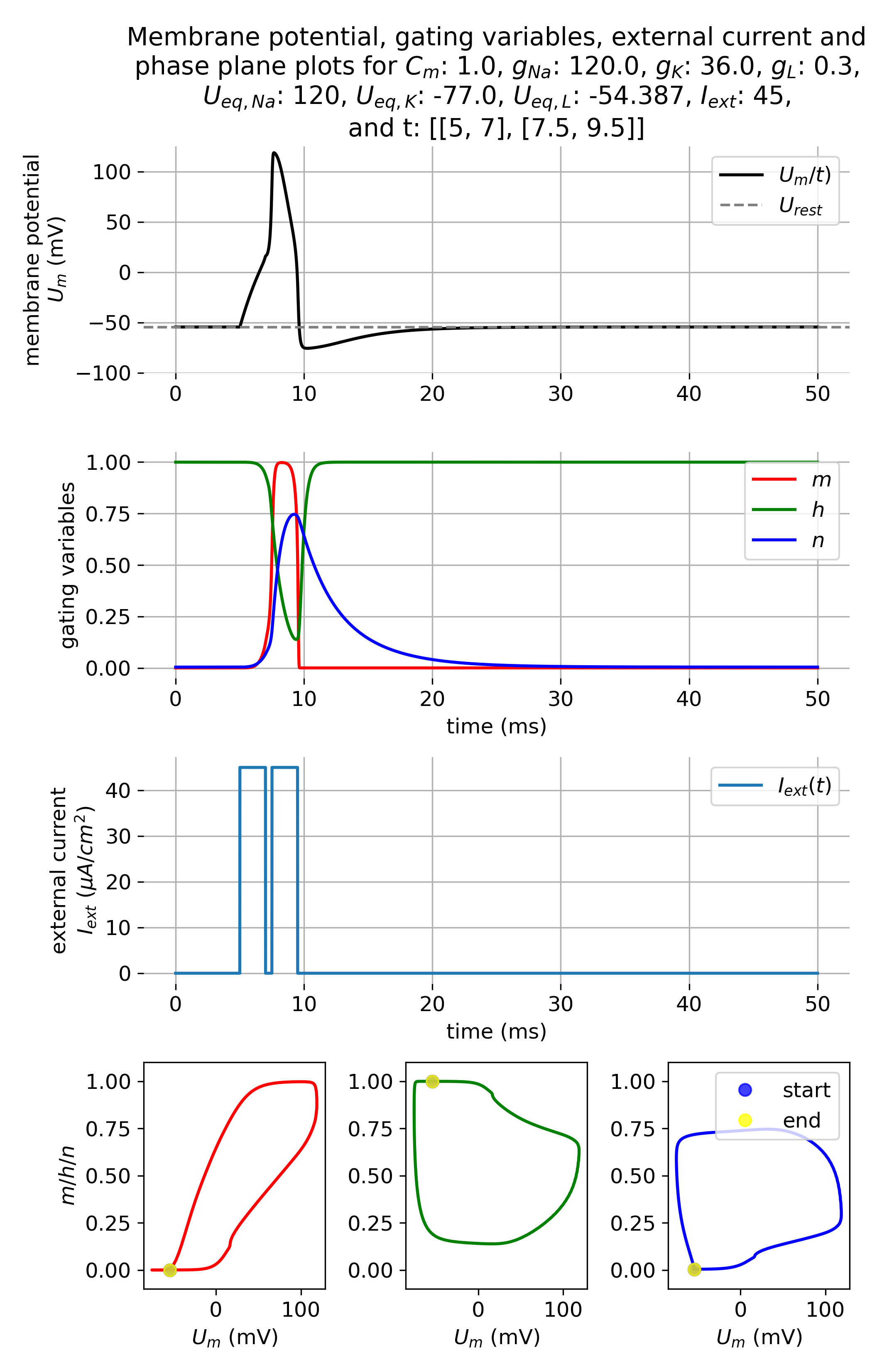 Membrane potential and gating variables during an action potential.