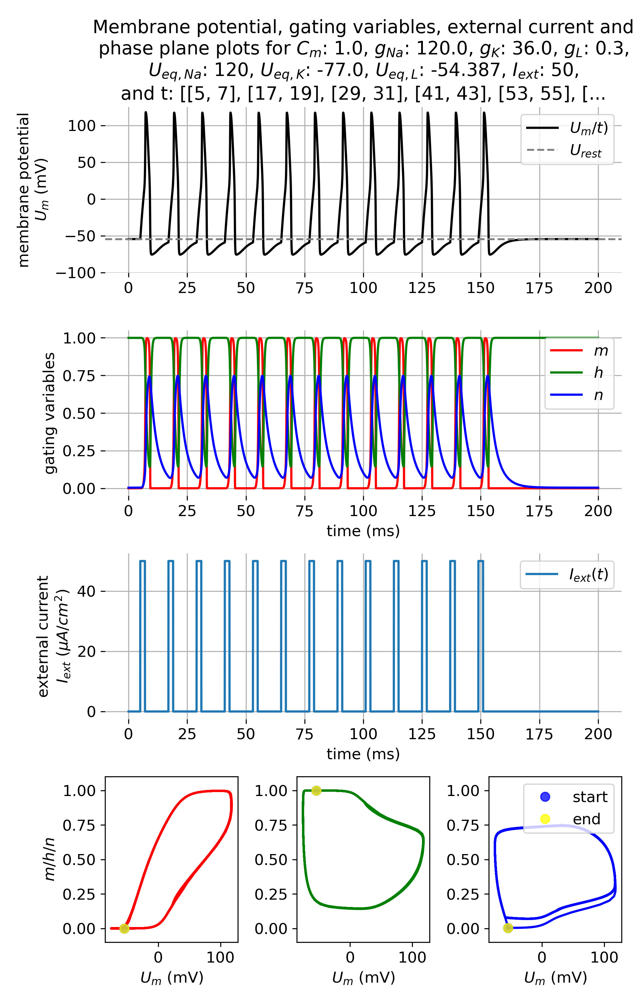 Membrane potential and gating variables during an action potential.