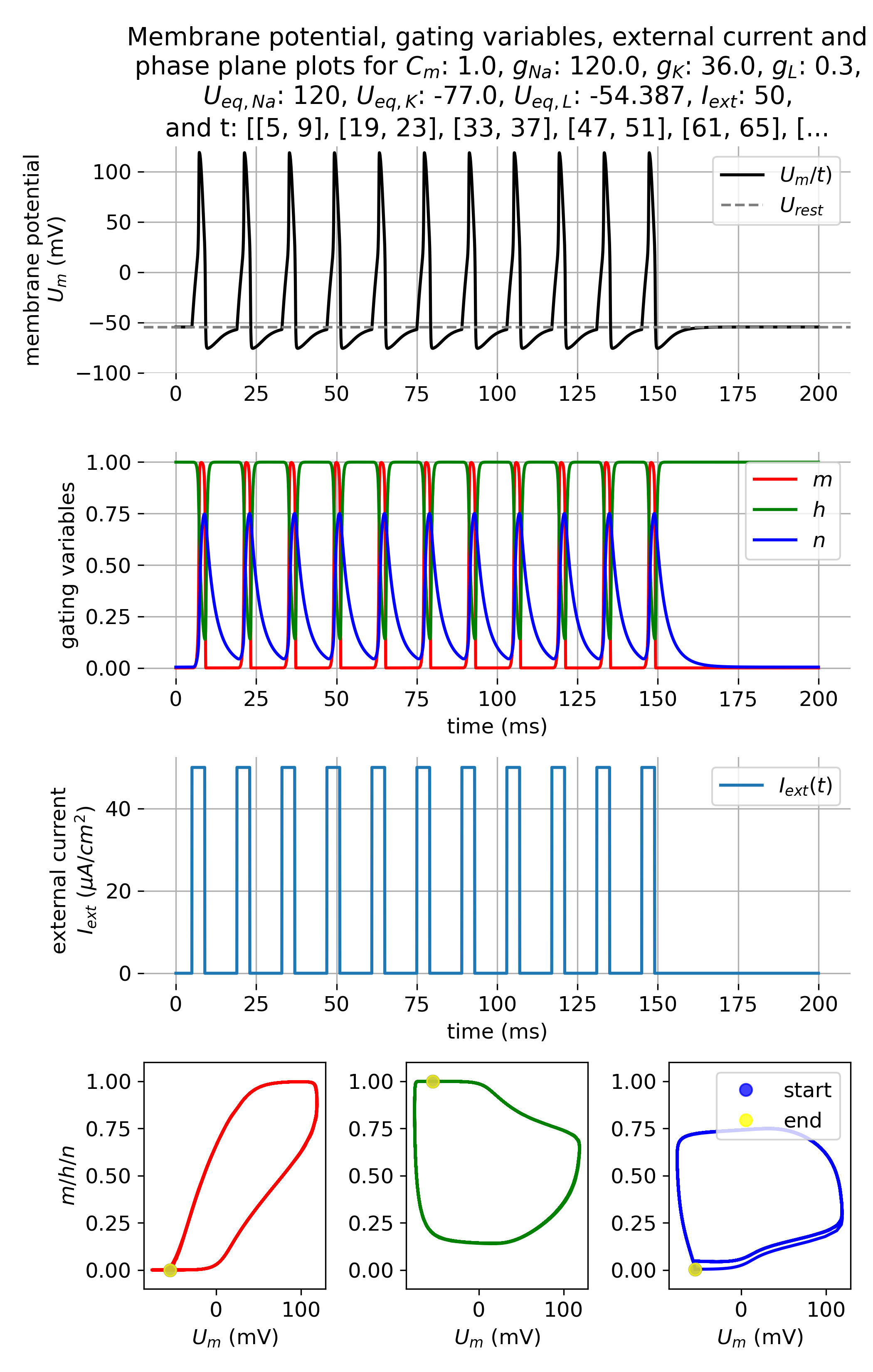 Membrane potential and gating variables during an action potential.