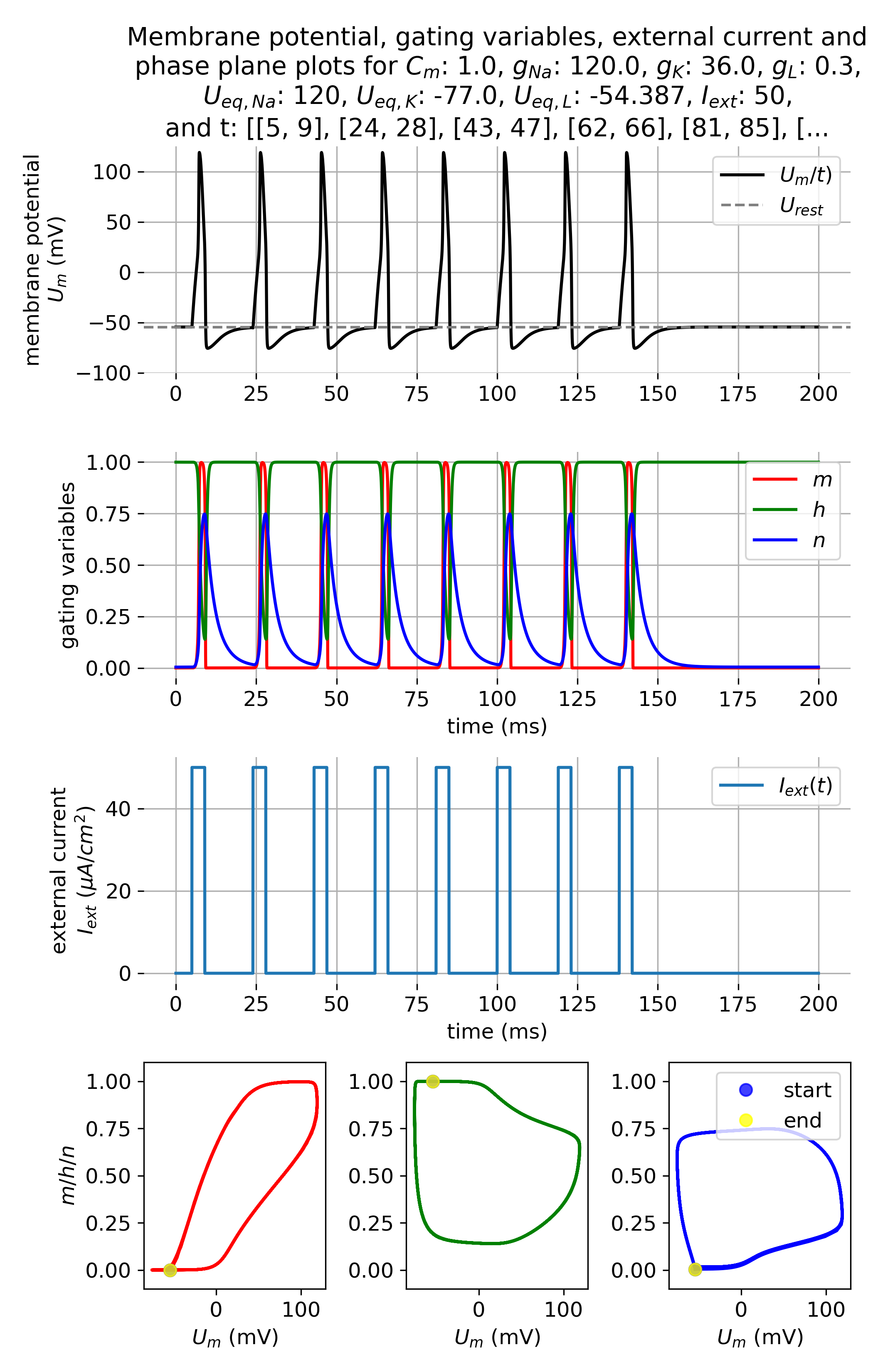 Membrane potential and gating variables during an action potential.