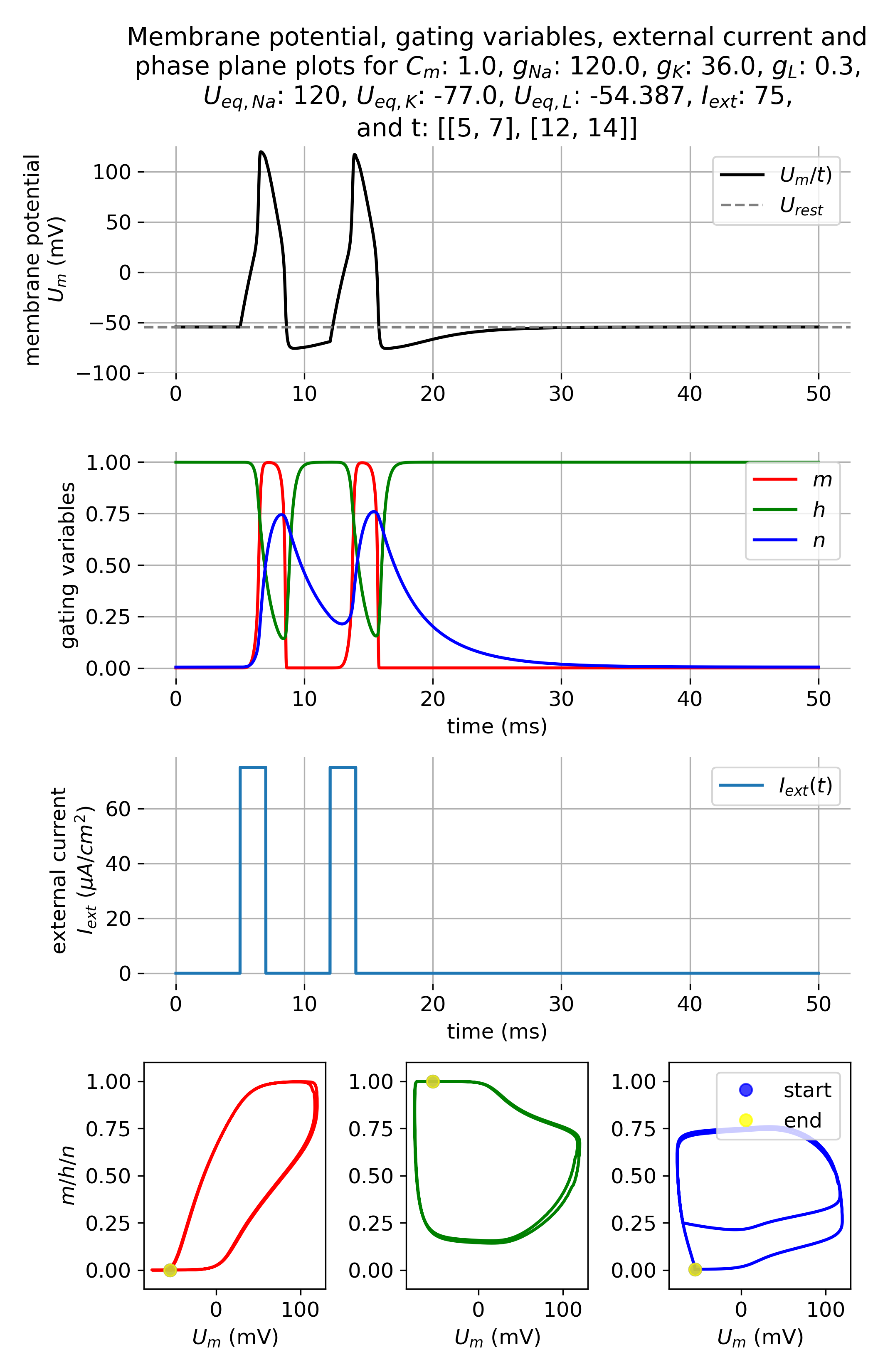 Membrane potential and gating variables during an action potential.