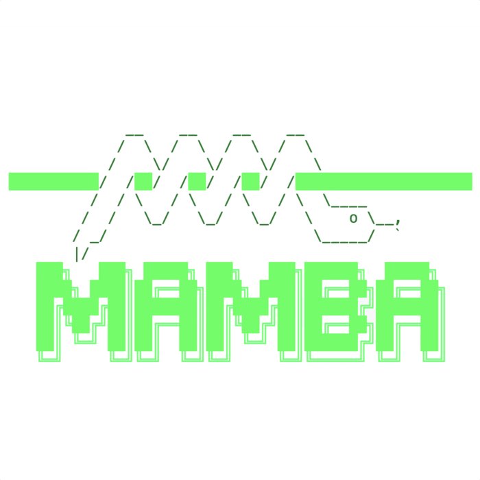 Mamba vs. Conda: Unleashing lightning-fast Python package installations