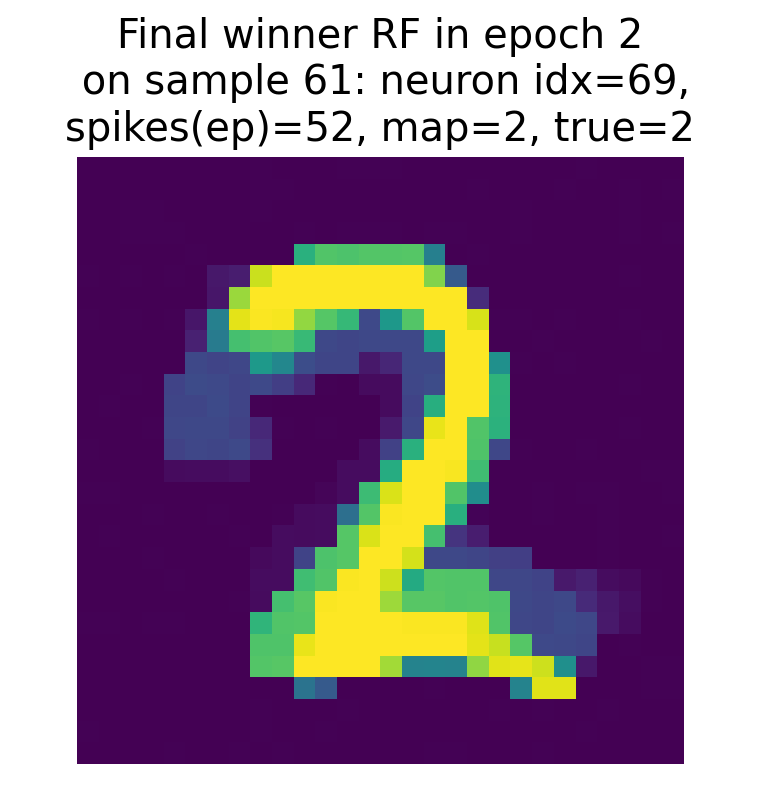 Receptive field of the final winner neuron as of epoch 2 for sample 61.