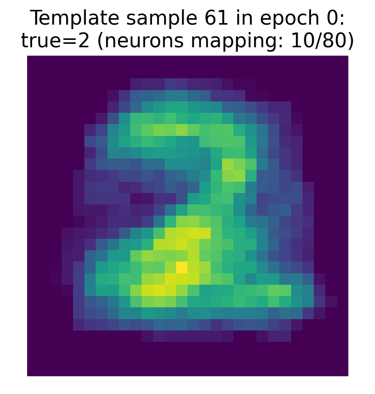 The template for the true label of the sample, which has been learned by the network as an aggregate of the synaptic weights of all output neurons that are mapped to that label.