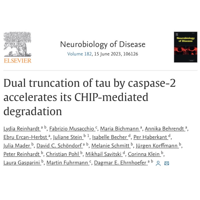 New publication on Tauopathy