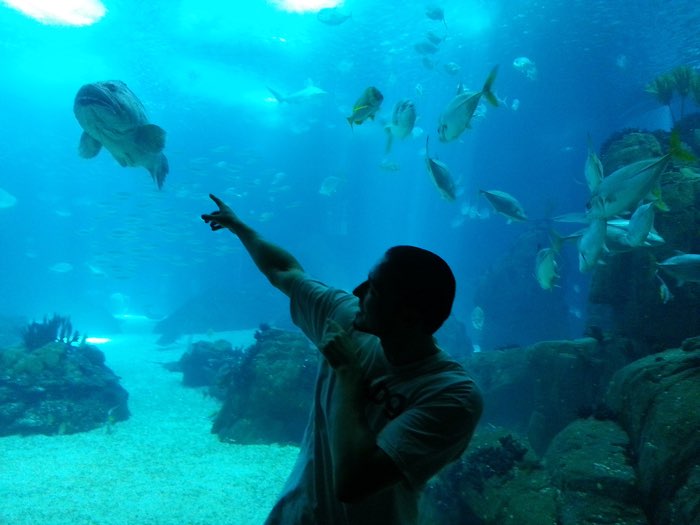 Lissabon: Oceanario, Altstadt am Abend (Sep 2012)